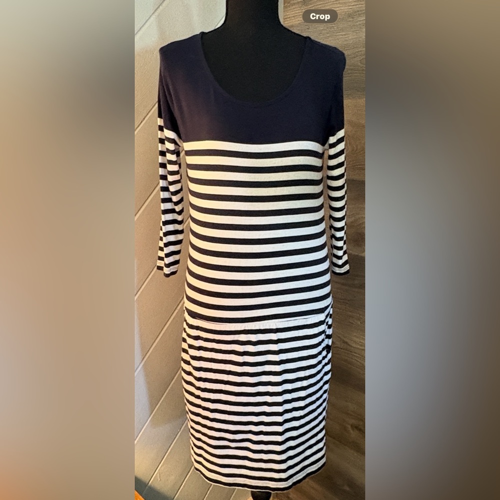 Banana Republic Navy and White Striped Dress